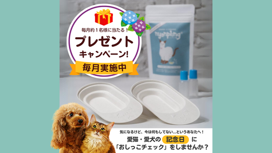 約1名様に当たる!公式Instagram限定プレゼントキャンペーンを毎月開催中!