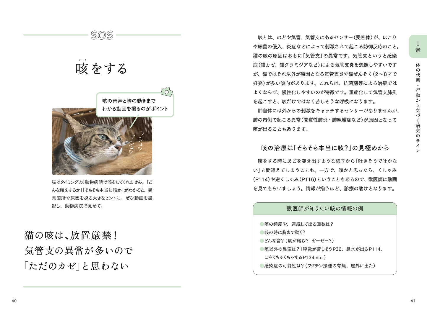 咳をする|猫の咳は放置厳禁!