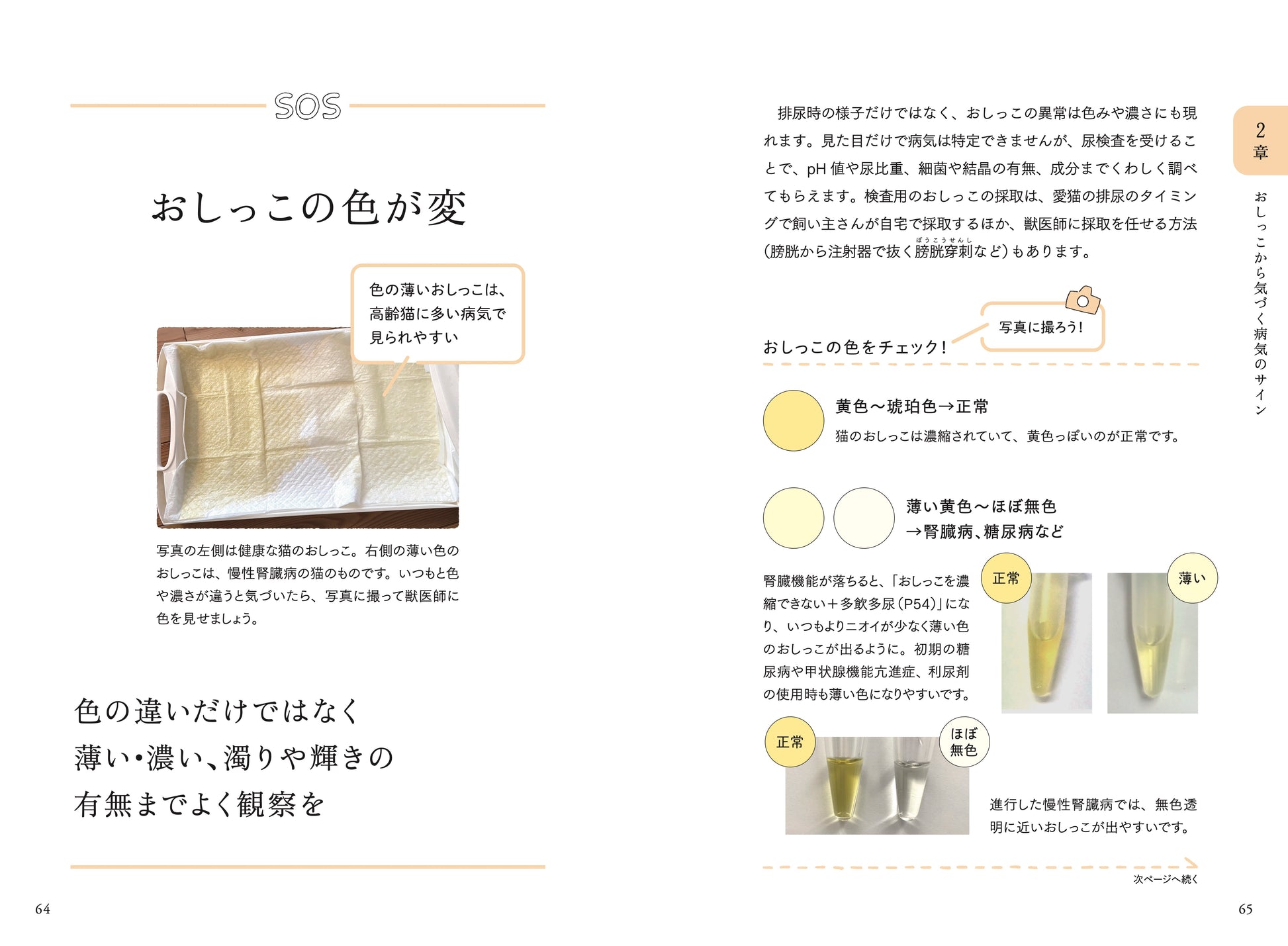 猫のおしっこの色が変|色の違いだけではなく薄い・濃い、濁りや輝きの有無までよく観察を