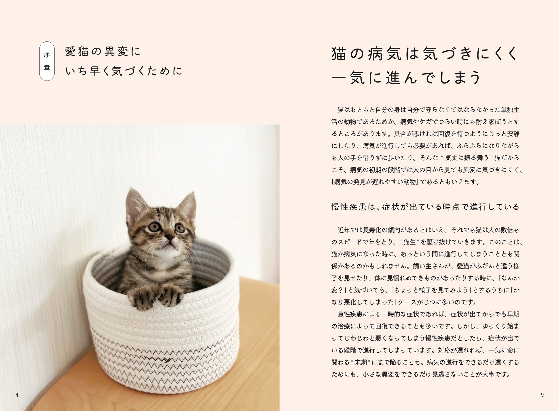 猫の異変にいち早く気づくために・ネコの病気は気づきにくく一気に進んでしまう