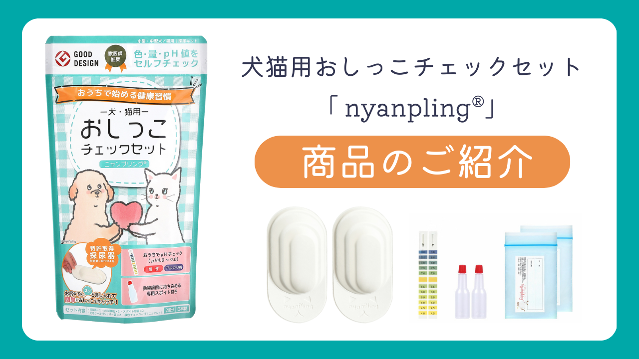 犬猫用おしっこチェックセット「ニャンプリング」商品のご紹介動画|おしっこチェックができる採尿キットのご紹介