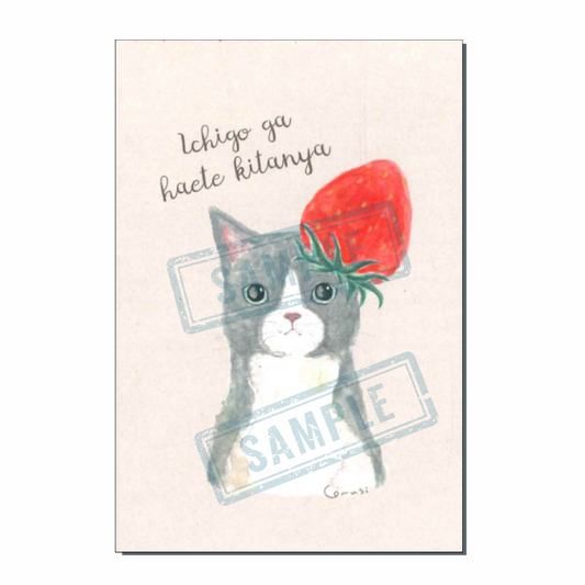 [NEW] Strawberry sprout kitty🍓/ Tokoro Komugi postcard