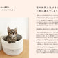 猫の異変にいち早く気づくために・ネコの病気は気づきにくく一気に進んでしまう