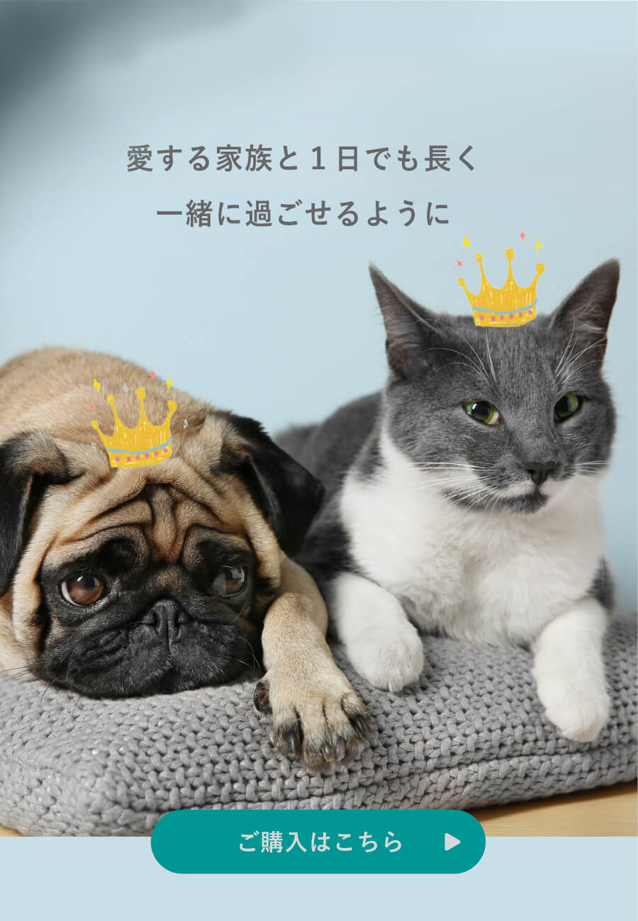 犬猫用おしっこチェックセットnyanpling｜ニャンプリング公式ストア