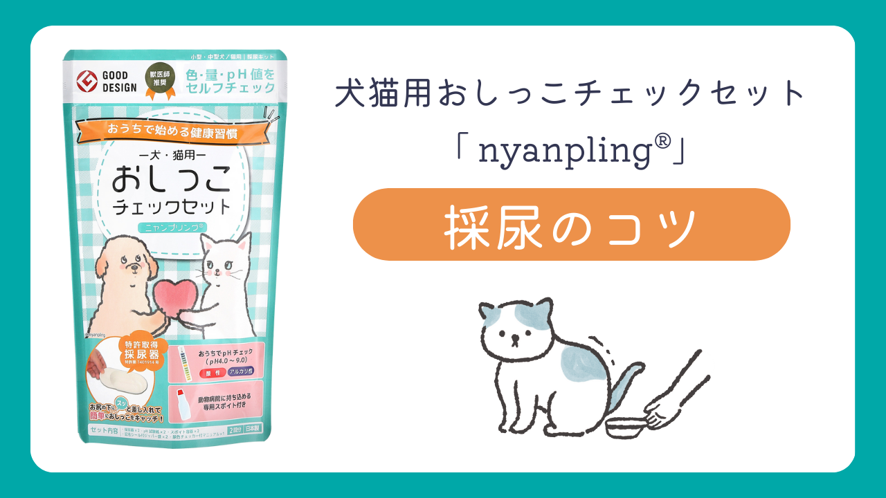 犬猫用おしっこチェックセット「ニャンプリング」を使った採尿のコツの動画